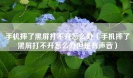 手机摔了黑屏打不开怎么办（手机摔了黑屏打不开怎么办但是有声音）