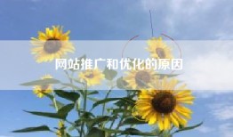 网站推广和优化的原因