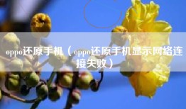 oppo还原手机（oppo还原手机显示网络连接失败）