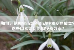 如何评估期货市场的流动性和交易成本？这些因素如何影响投资效率？
