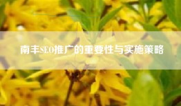 南丰SEO推广的重要性与实施策略