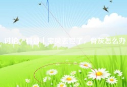 讨论／科普｜宝贝去世了，骨灰怎么办