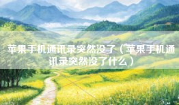 苹果手机通讯录突然没了（苹果手机通讯录突然没了什么）