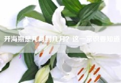 开海期是几月到几月？这一常识要知道