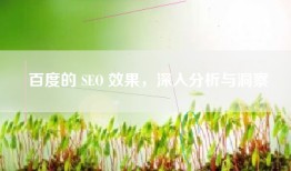 百度的 SEO 效果，深入分析与洞察