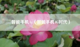 智能手机4g（智能手机4G时代）