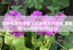 可拆电池的手机（可拆电池的手机,直接用18650供电可以吗？）