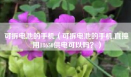 可拆电池的手机（可拆电池的手机,直接用18650供电可以吗？）