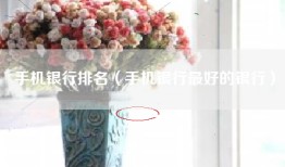 手机银行排名（手机银行最好的银行）