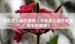 手机怎么制作壁纸（手机怎么制作壁纸写字的那种）