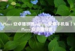 XPlayer 安卓播放器potplayer安卓手机版「XPlayer 安卓播放器」