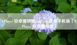 XPlayer 安卓播放器potplayer安卓手机版「XPlayer 安卓播放器」