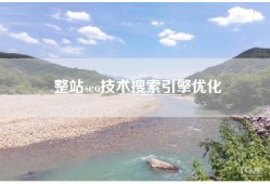 整站seo技术搜索引擎优化