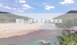 整站seo技术搜索引擎优化