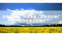 百度竞价推广时段系数（百度竞价推广时段系数怎么算）