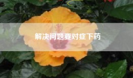 解决问题要对症下药