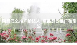 商品怎么推广给达人_商品怎么推广和引流