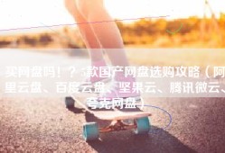 买网盘吗！？5款国产网盘选购攻略（阿里云盘、百度云盘、坚果云、腾讯微云、夸克网盘）