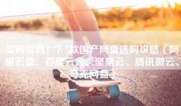 买网盘吗！？5款国产网盘选购攻略（阿里云盘、百度云盘、坚果云、腾讯微云、夸克网盘）