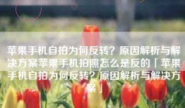 苹果手机自拍为何反转？原因解析与解决方案苹果手机拍照怎么是反的「苹果手机自拍为何反转？原因解析与解决方案」