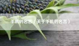 手机的名言（关于手机的名言）
