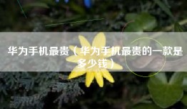 华为手机最贵（华为手机最贵的一款是多少钱）
