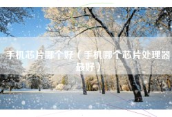 手机芯片哪个好（手机哪个芯片处理器最好）