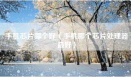 手机芯片哪个好（手机哪个芯片处理器最好）
