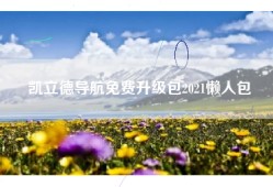 凯立德导航免费升级包2021懒人包