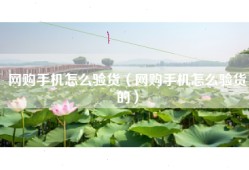 网购手机怎么验货（网购手机怎么验货的）