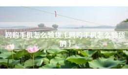 网购手机怎么验货（网购手机怎么验货的）