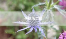 手机防屏蔽
