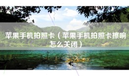 苹果手机拍照卡（苹果手机拍照卡擦响怎么关闭）