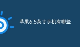苹果6.5英寸手机有哪些6.1寸手机有多大「苹果6.5英寸手机有哪些」
