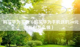 购买华为手机（购买华为手机送的500元礼包怎么领）