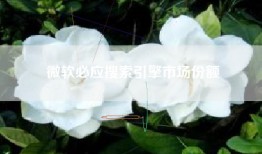 微软必应搜索引擎市场份额