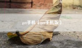 get手机（get手机版）