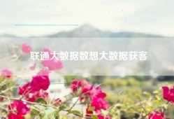 联通大数据数想大数据获客