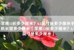 苹果13长多少厘米？6.1英寸是多少厘米手机长度多少厘米「苹果13长多少厘米？6.1英寸是多少厘米」