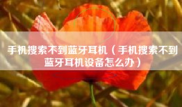 手机搜索不到蓝牙耳机（手机搜索不到蓝牙耳机设备怎么办）