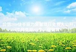 价值2980快手磁力聚星项目免费大公开，4个月变现122个，保姆级~