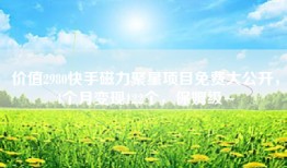 价值2980快手磁力聚星项目免费大公开，4个月变现122个，保姆级~
