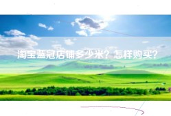 淘宝蓝冠店铺多少米？怎样购买？