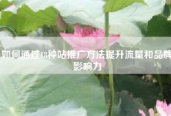 如何通过18种站推广方法提升流量和品牌影响力