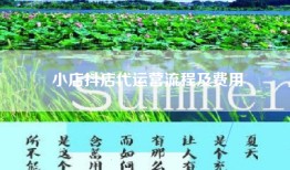 小店抖店代运营流程及费用