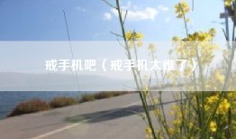 戒手机吧（戒手机太难了）