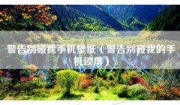 警告别碰我手机壁纸（警告别碰我的手机锁屏）