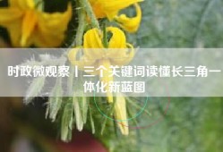 时政微观察丨三个关键词读懂长三角一体化新蓝图