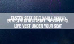 搜索引擎营销网站推广业务的介绍