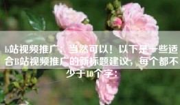 b站视频推广：当然可以！以下是一些适合B站视频推广的新标题建议，每个都不少于10个字：